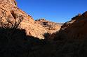 IMG_5955