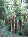 DSCN0016