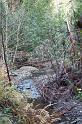 IMG_0262