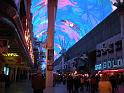 DSCN0648