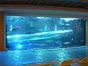 DSCN0538