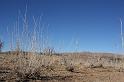 IMG_0496