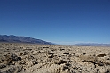 IMG_1027
