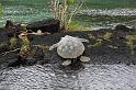 IMG_3860