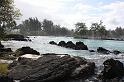 IMG_1579