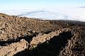 IMG_4141