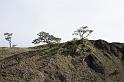 IMG_1598